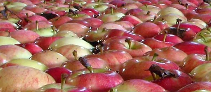 Frutta e ortaggi